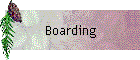 Boarding