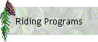 Summer Riding Program